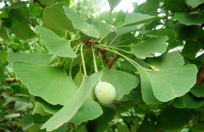 4c1f7e6960c962578ad0d0409c52083