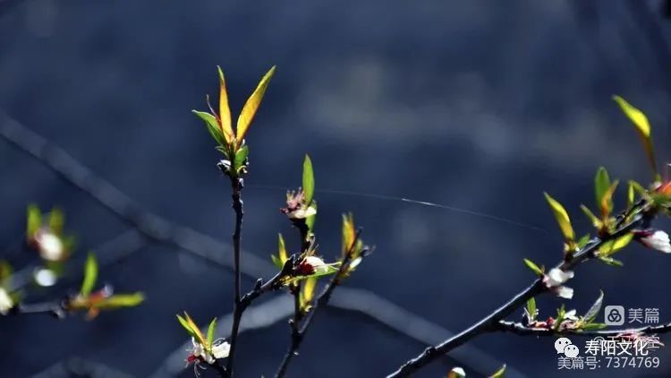 c4630ba80a29046aa3763c4352ee807a_640_wx_fmt=jpeg&wxfrom=5&wx_lazy=1&wx_co=1 c4630ba80a29046aa3763c4352ee807a_640_wx_fmt=jpeg&wxfrom=5&wx_lazy=1&wx_co=1.jpg