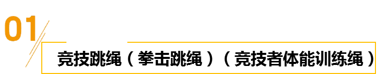 竞技跳绳(拳击跳绳)(竞技者体能训练绳).png