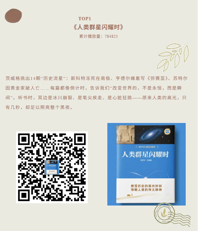 image.png?v=1766280835836