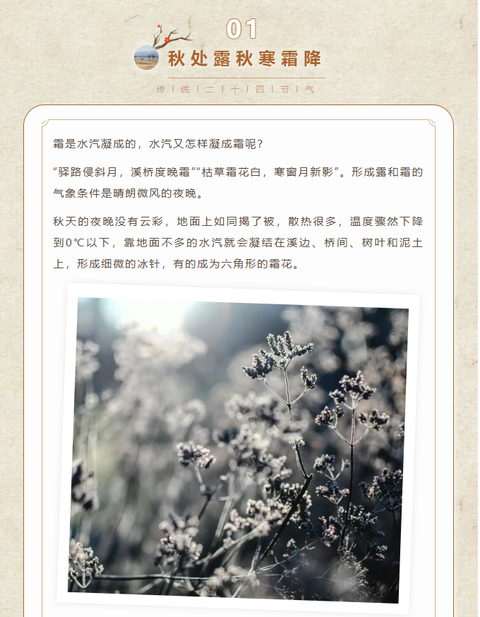 image.png?v=1762073929220