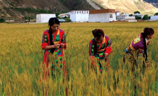 pagenumber_ebook=45,pagenumber_book=33