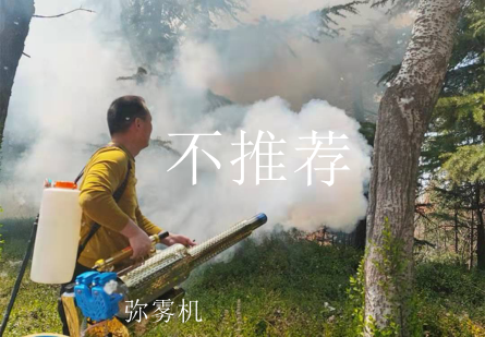 66 66.png?v=1765897960853