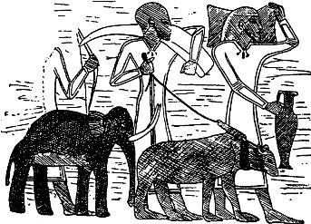 pagenumber_ebook=265,pagenumber_book=265