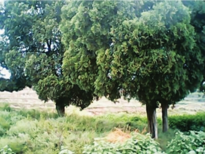 pagenumber_ebook=25,pagenumber_book=15