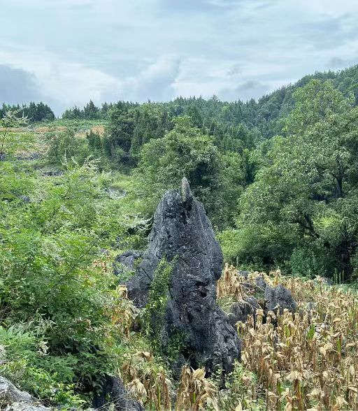 2b57501140e610cf43087e388ba5b9b