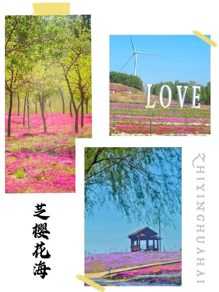 微信图片_20230904101739_1 微信图片_20230904101739_1.jpg