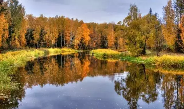 20171026202806_bl07hljpck 20171026202806_bl07hljpck.png?v=1773792016374