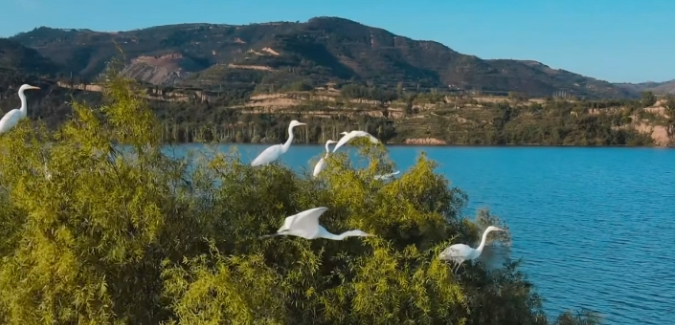 8ecbb7a3f5fdb64649e8f242d7195ca 8ecbb7a3f5fdb64649e8f242d7195ca.png