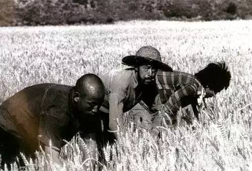 95810e922c524c73b58c1fe38f17f5f4_th 95810e922c524c73b58c1fe38f17f5f4_th.jpg?v=1763143919972