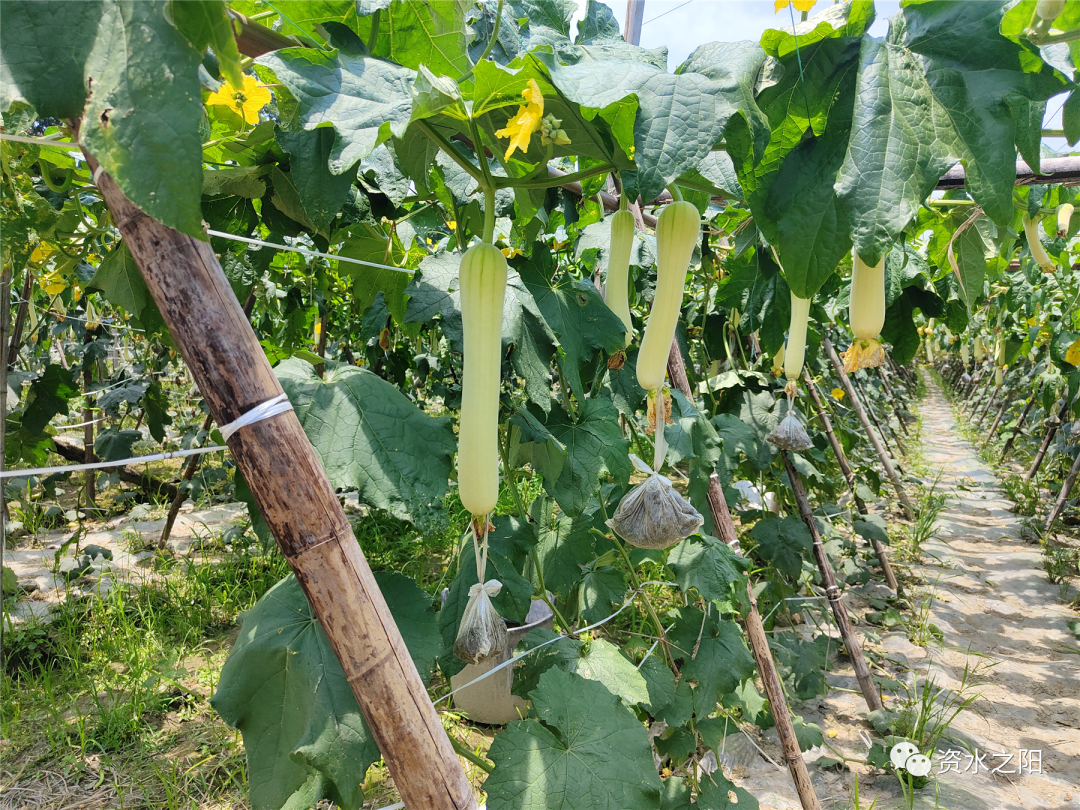 1 1.png?v=1765771807380