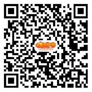 image017 image017.jpg?v=1764640553418