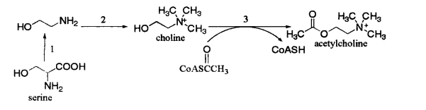 pagenumber_ebook=136,pagenumber_book=118