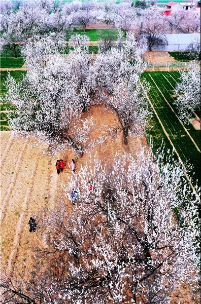 微信图片_20210318082806