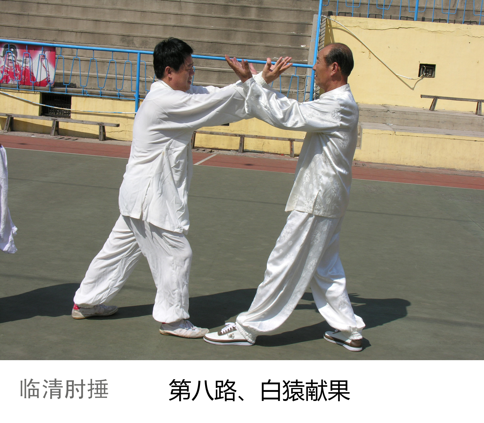 b679030081f478c9a538dc0edd86862 b679030081f478c9a538dc0edd86862.jpg