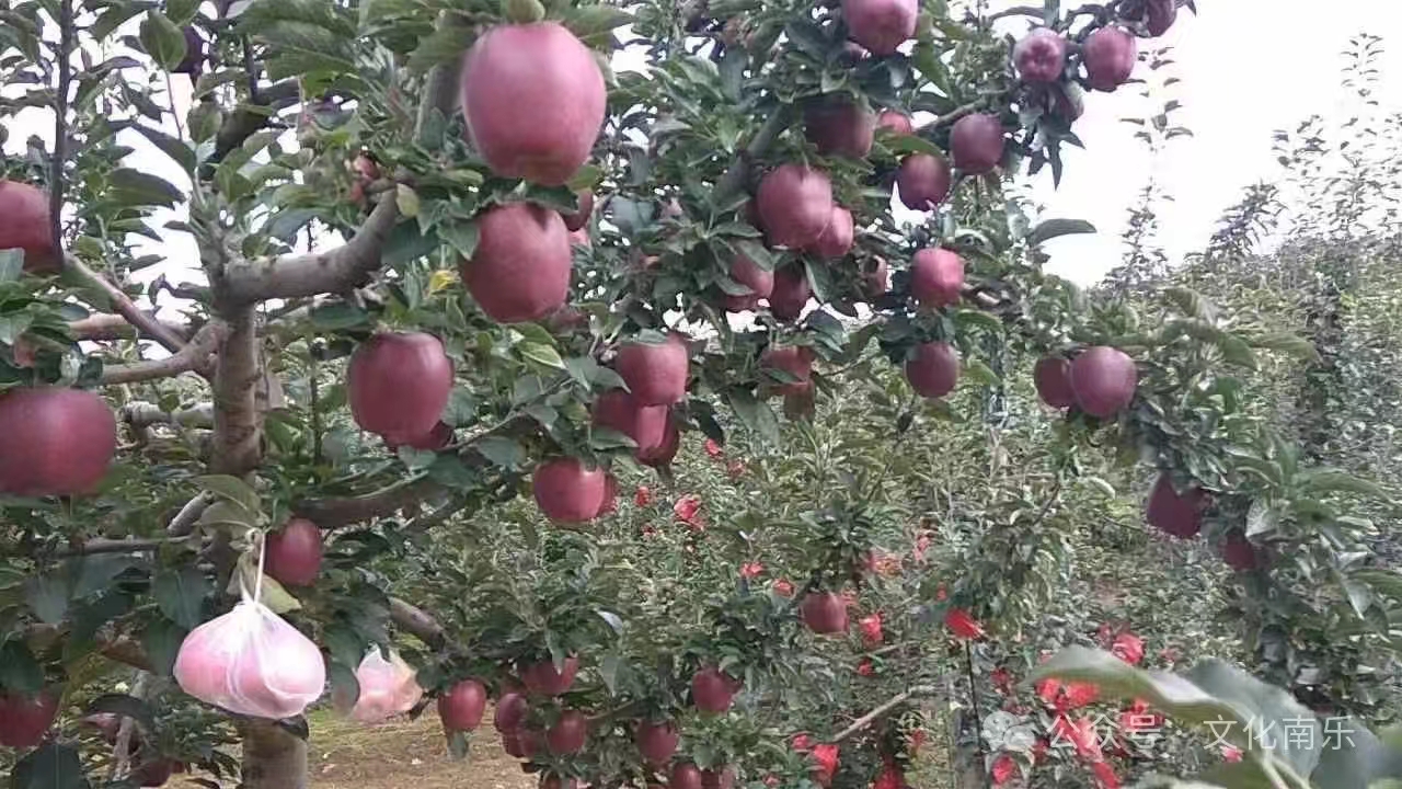 微信图片_20241010153648 微信图片_20241010153648.jpg