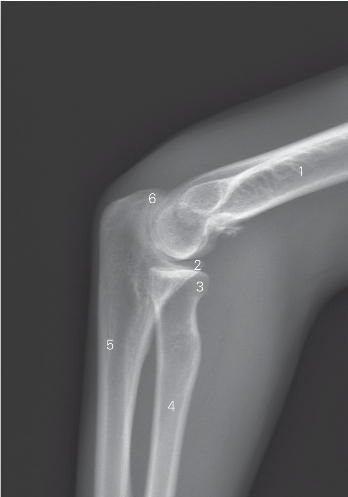 pagenumber_ebook=164,pagenumber_book=155