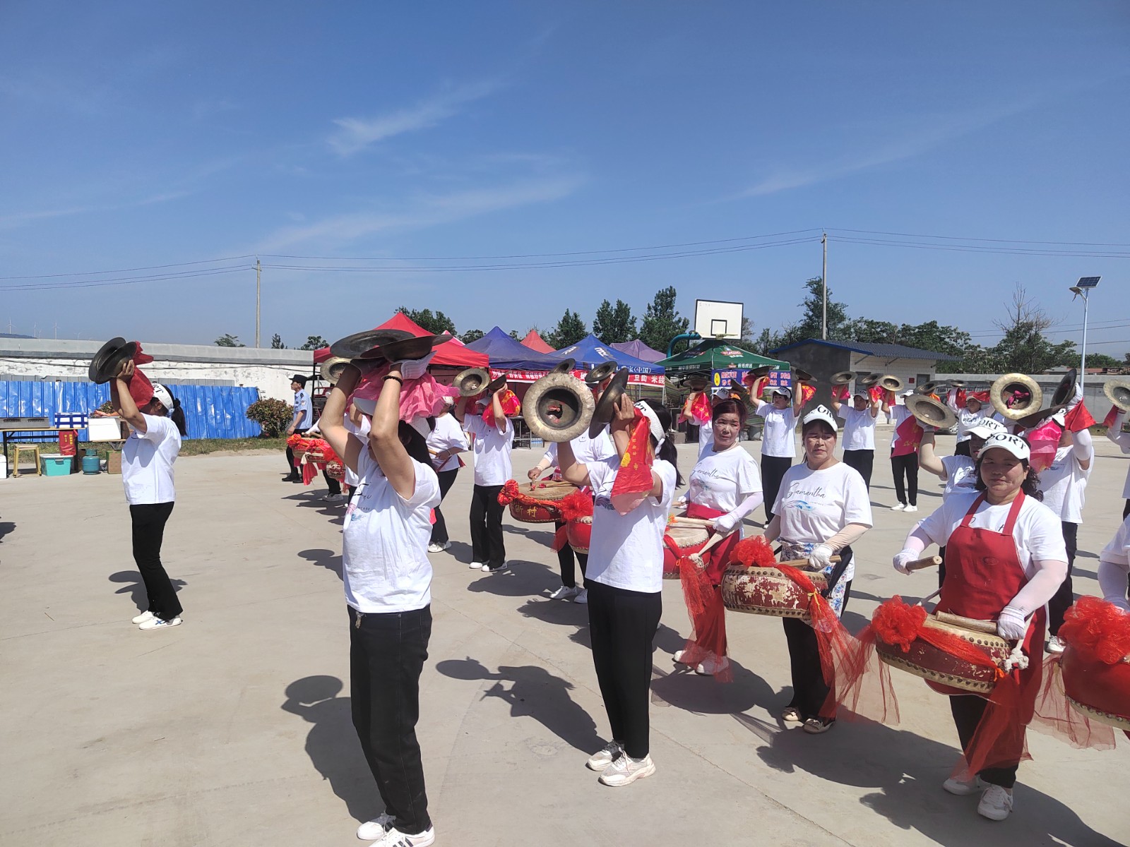 54056f4e0675a9404ece6cea6bd973d