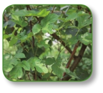 pagenumber_ebook=223,pagenumber_book=210