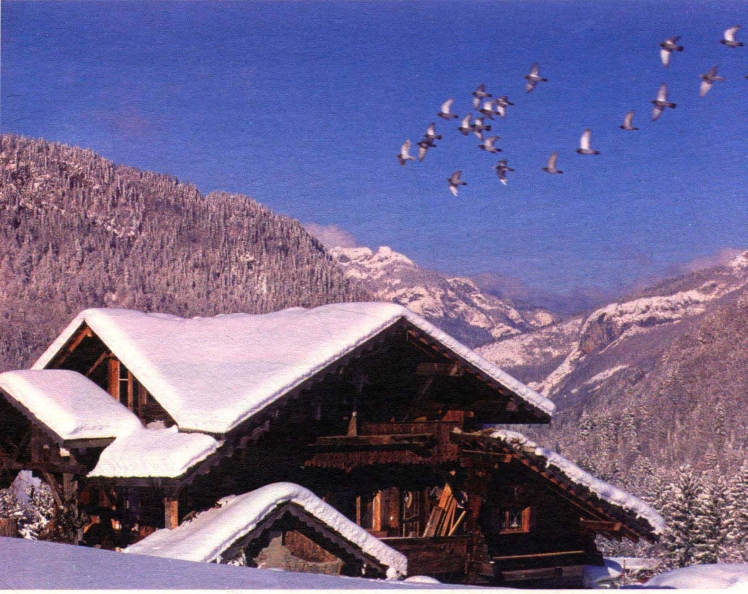 pagenumber_ebook=205,pagenumber_book=196