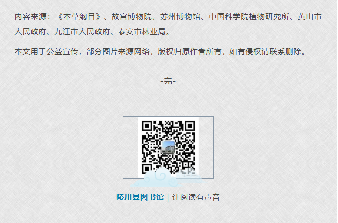 image.png?v=1762099906174