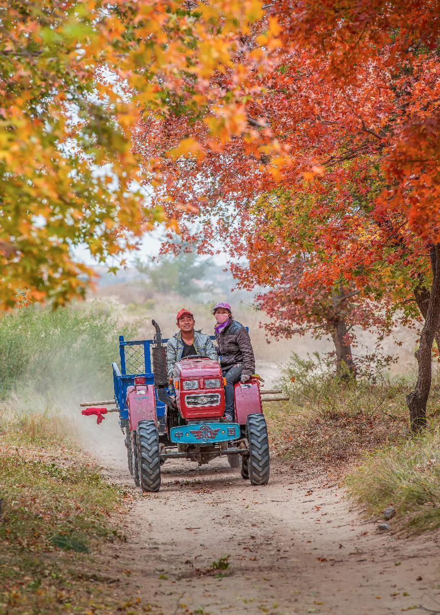 《幸福小路》盛国强