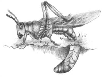 pagenumber_ebook=176,pagenumber_book=160