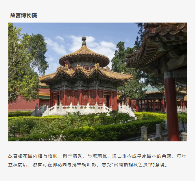 image.png?v=1766278521081