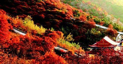 01_201110310939339682900 01_201110310939339682900.jpg