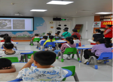 image image.png?v=1772869075168