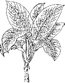 pagenumber_ebook=271,pagenumber_book=271