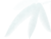 image.png?v=1746138656090