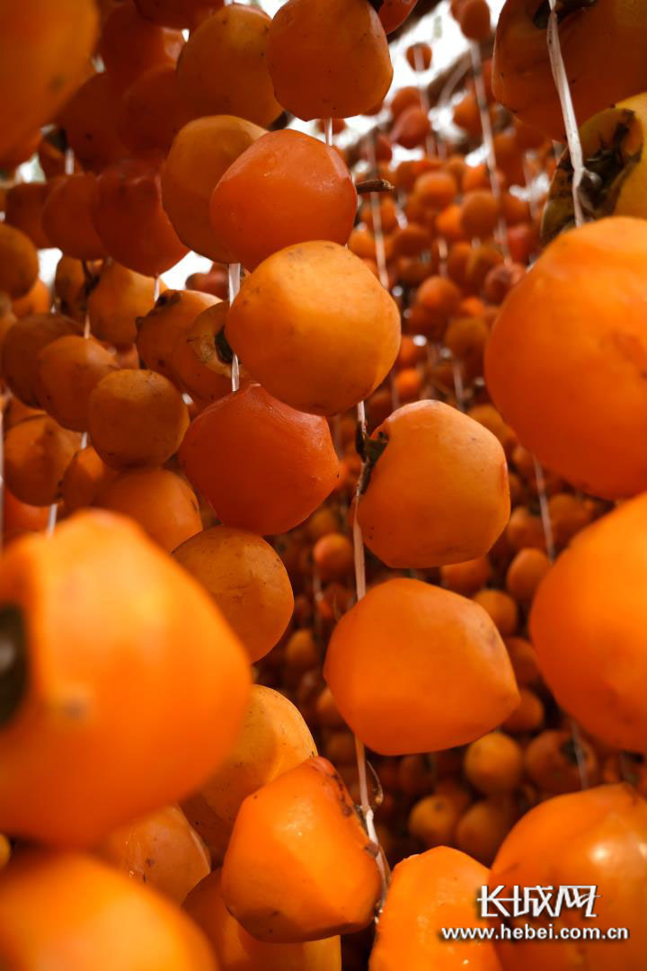 微信图片_20201213105348 微信图片_20201213105348.jpg