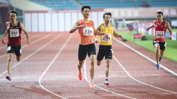 untitled8 untitled8.png