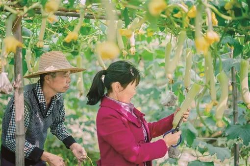 2 2.jpg?v=1765880882746