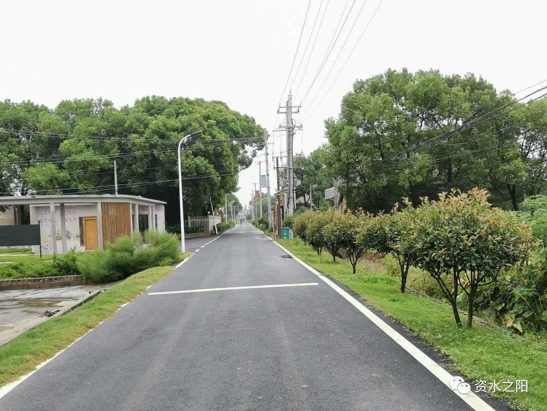 8 8.png?v=1765880721220