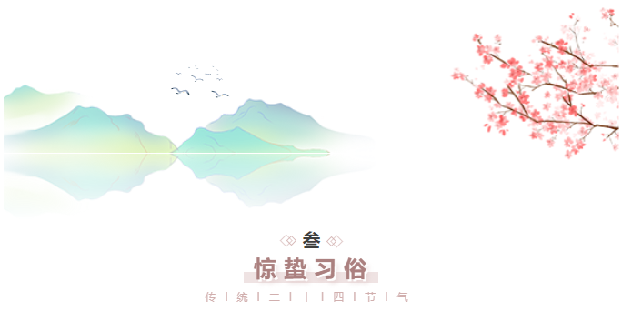 image.png?v=1750230774752
