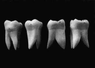 pagenumber_ebook=211,pagenumber_book=202