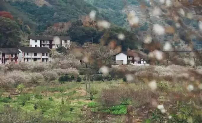 image021 image021.jpg