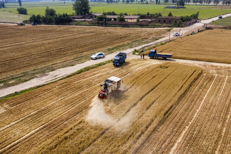 d9b3d3d0-4392-11ec-8cb8-b582a1e88ee2