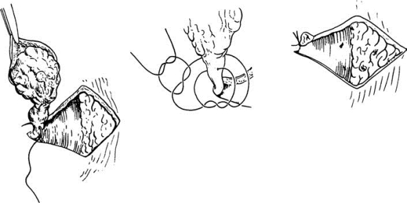 pagenumber_ebook=603,pagenumber_book=588