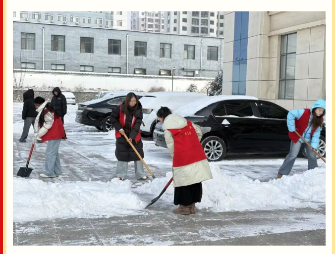 image.png?v=1774104526870