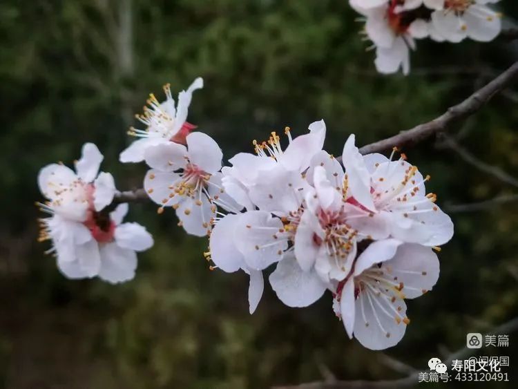 微信图片_20230414095936