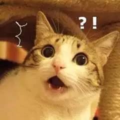 4普通话推广公益讲座