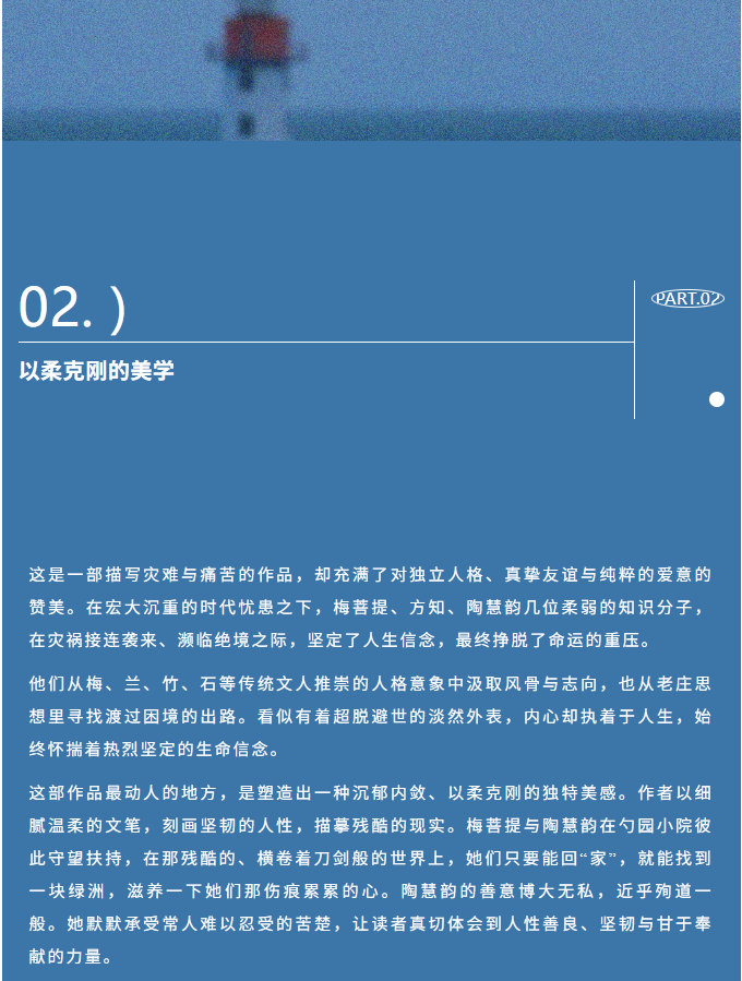 image.png?v=1787521978684