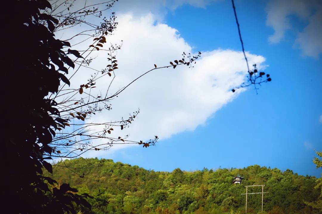 微信图片_20201124234214