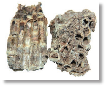 pagenumber_ebook=312,pagenumber_book=299