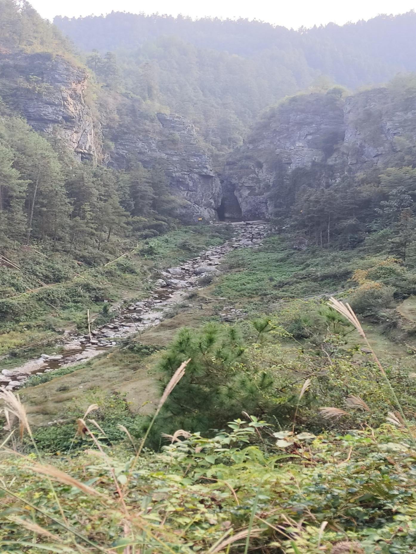 image18 image18.jpeg