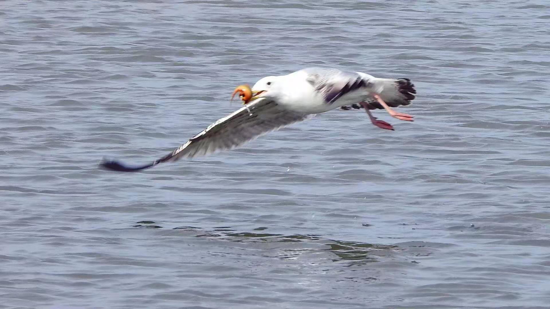 0317ae85ee89f724eae00d57d556278 0317ae85ee89f724eae00d57d556278.jpg