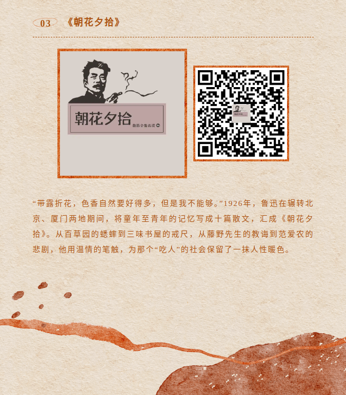 image.png?v=1790297001882